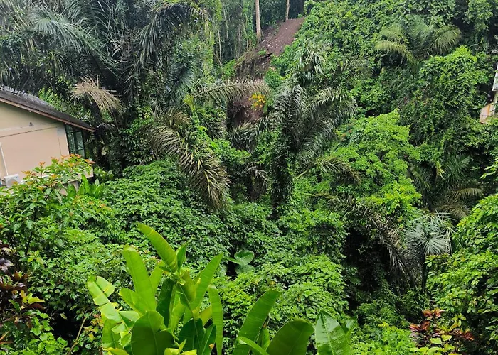 Villa Jungle View *