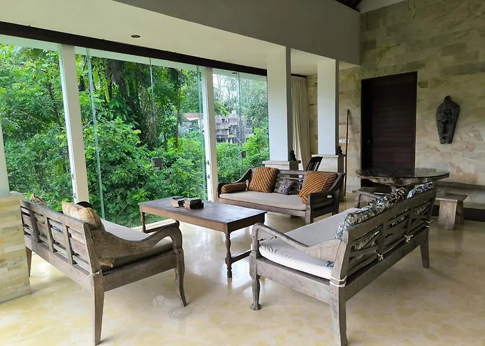 Jungle View