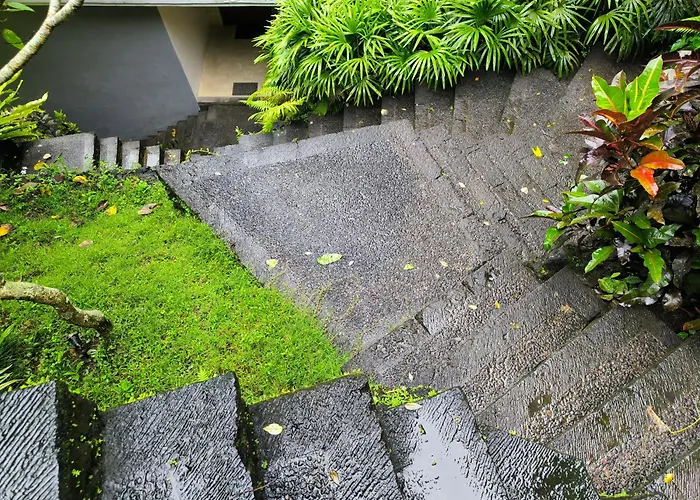 Villa Jungle View *