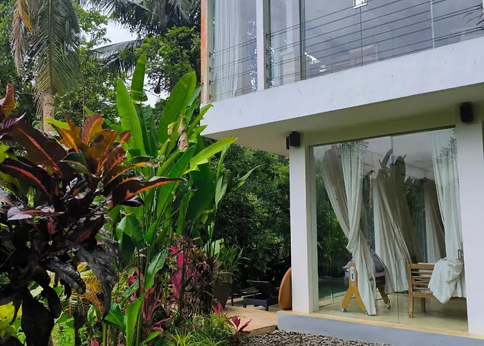 Jungle View